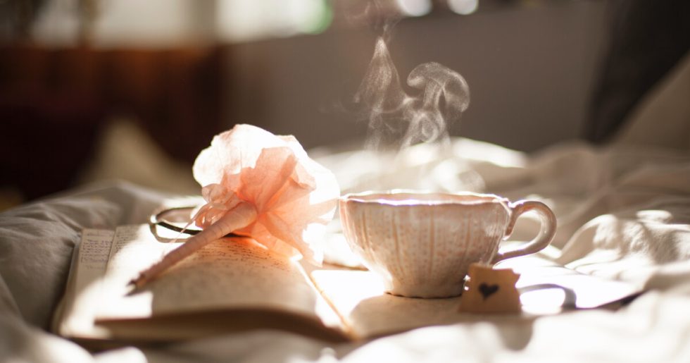 Tea Houses in Madeira A Curated List of Island Hideaways • Madeira By