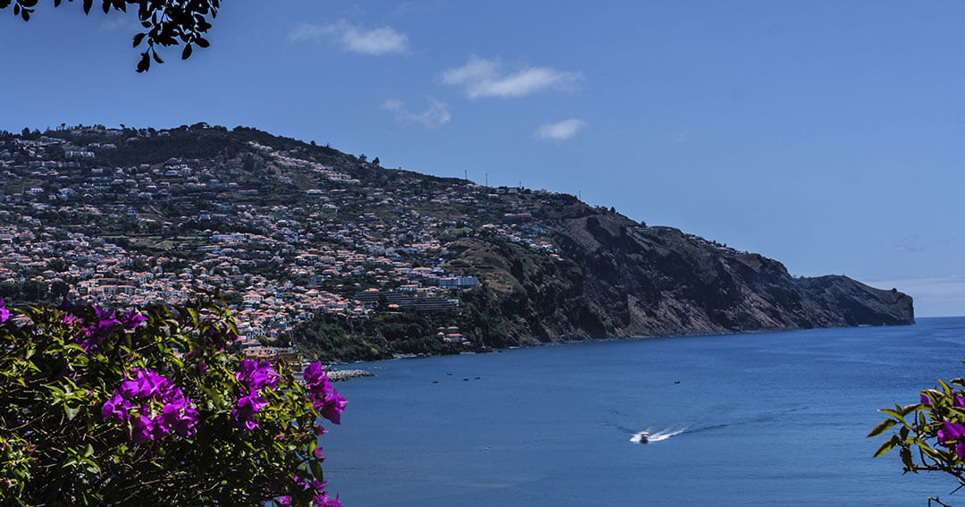 Springtime in Madeira Island