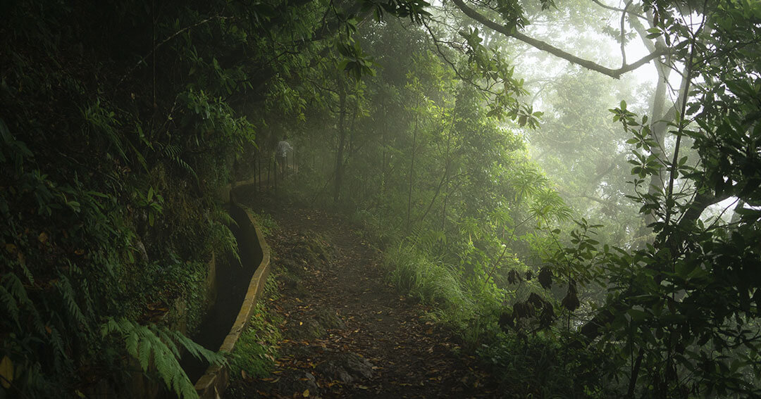 Weather in Madeira Island - Winter time