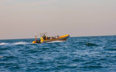 Dive into Adventure: The Ultimate Guide to Water Sports in Madeira