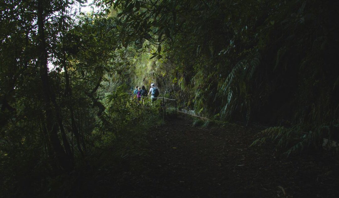7 Most Popular Outdoor Activities in Madeira Island