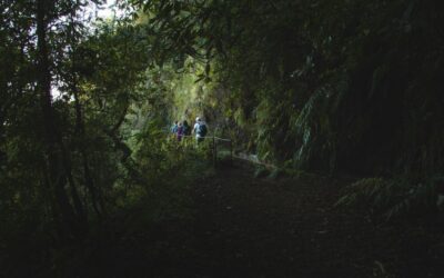 7 Most Popular Outdoor Activities in Madeira Island