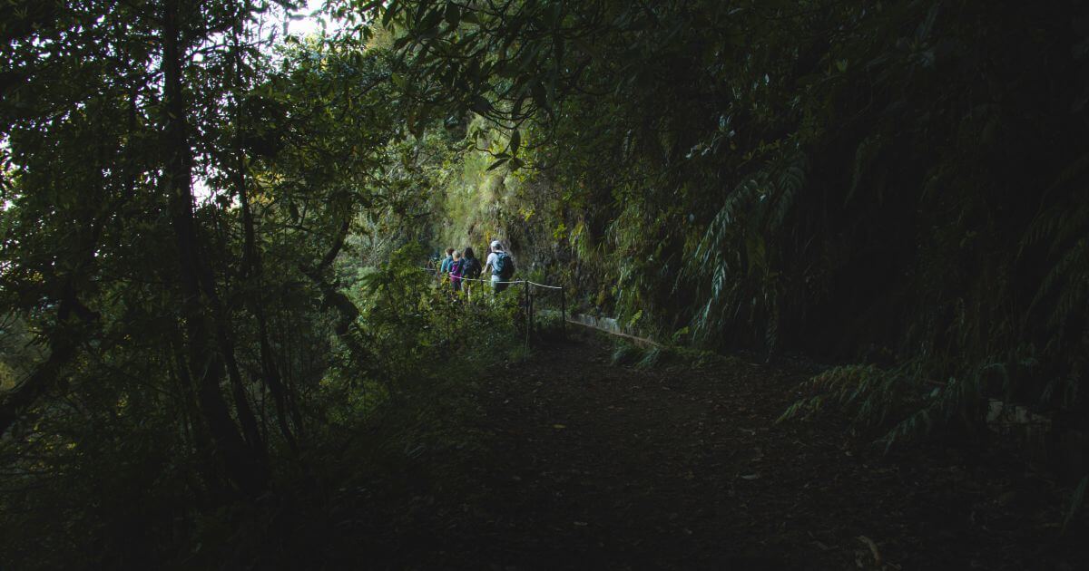 7 Most Popular Outdoor Activities in Madeira Island