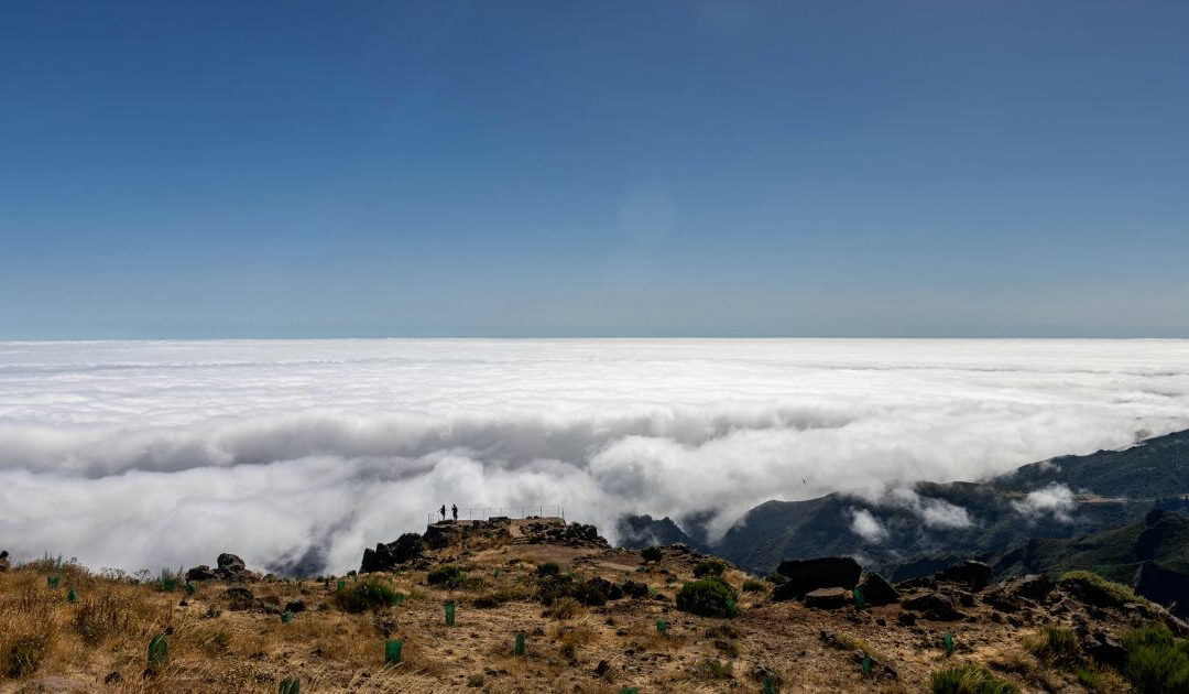 Discover Funchal Ecological Park: A Natural Gem in Madeira