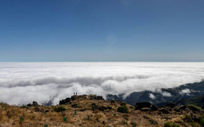 Discover Funchal Ecological Park: A Natural Gem in Madeira