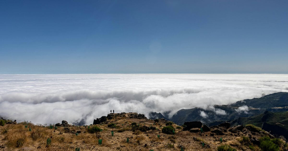 Discover Funchal Ecological Park: A Natural Gem in Madeira