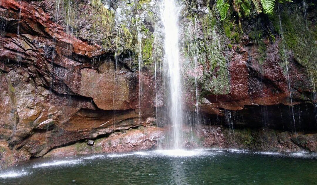 Discover the 7 Most Famous Levadas in Madeira