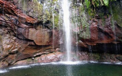 Discover the 7 Most Famous Levadas in Madeira
