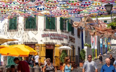 What to Do in Câmara de Lobos: Top 5 Must-Do Activities in This Charming Fishing Village
