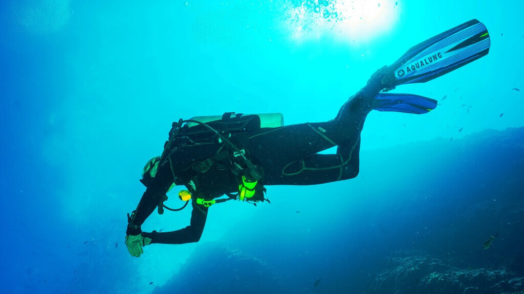 Tips for a Safe and Memorable Dive in Madeira