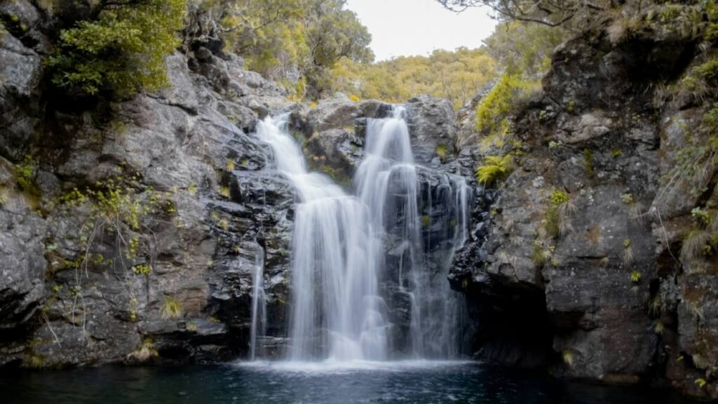 7 Reasons to Book Guided Levada Walks in Madeira