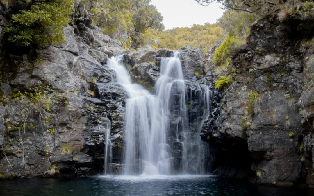 7 Reasons to Book Guided Levada Walks in Madeira