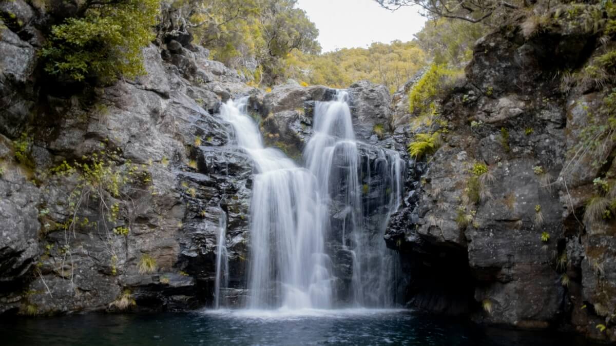 7 Reasons to Book Guided Levada Walks in Madeira