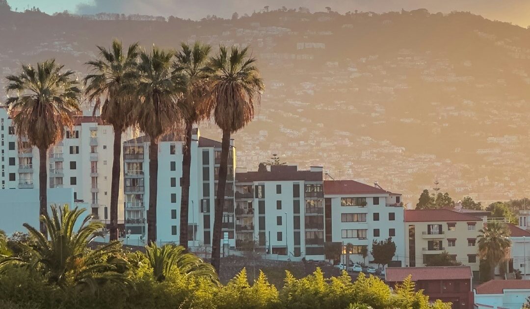 Where to Stay in Madeira Island: Best Areas & Hotels for Every Traveler