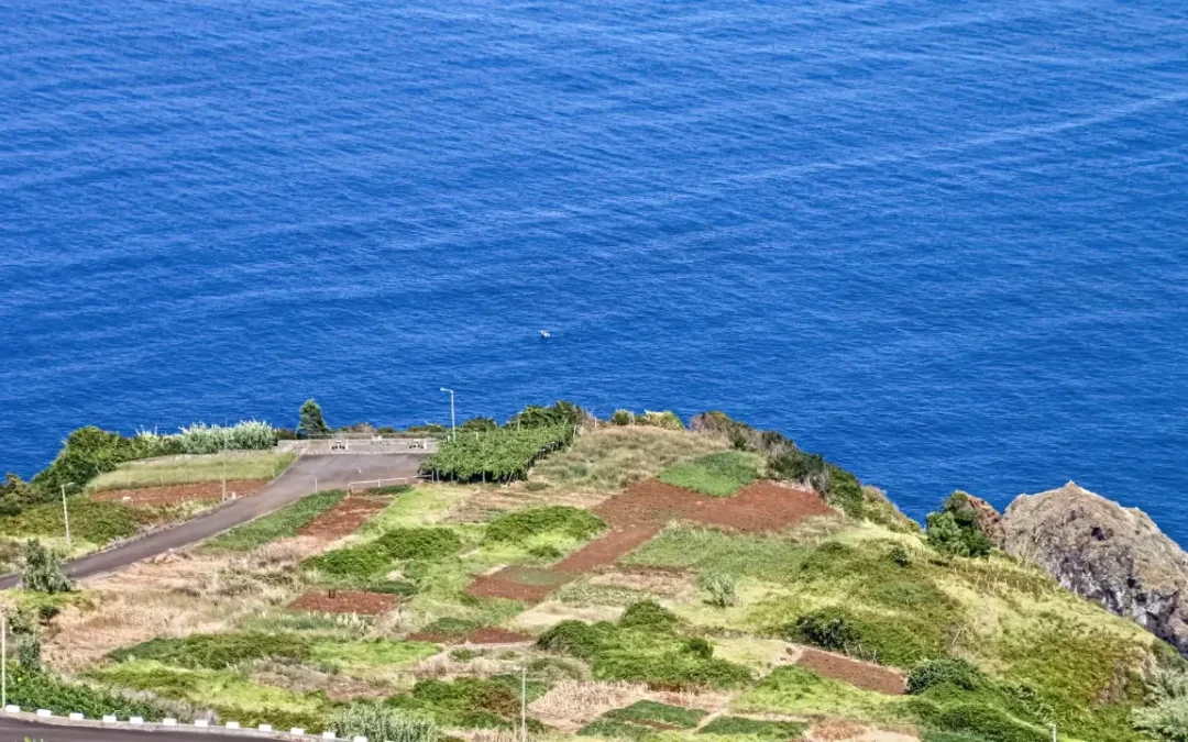 Madeira Swing: The Ultimate Scenic Adventure on the Island