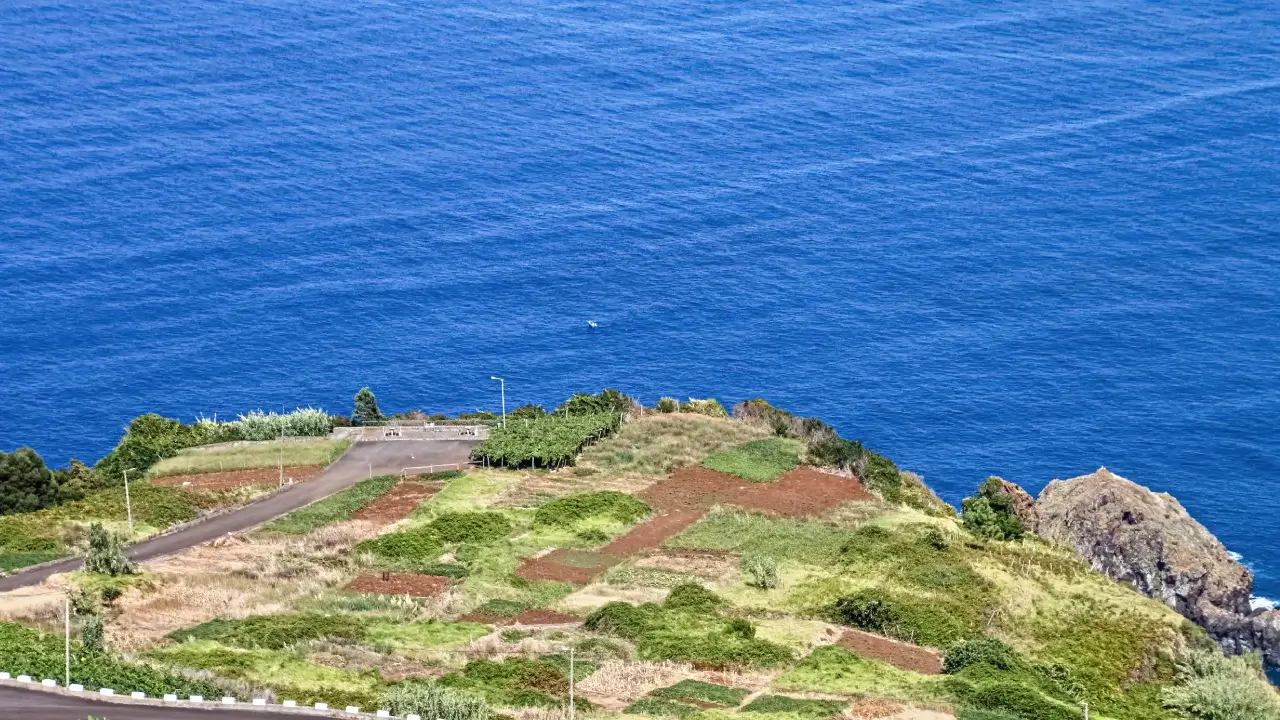 Miradouro da Fajã do Barro - Ilha da Madeira - Portuga. Photo by Vitor Oliveira Creative Commons Attribution-Share Alike 2.0 Generic license.