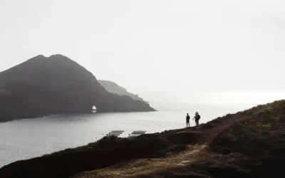 The 7 Best Walks in Madeira to Do in 2026: Your Essential Hiking Guide