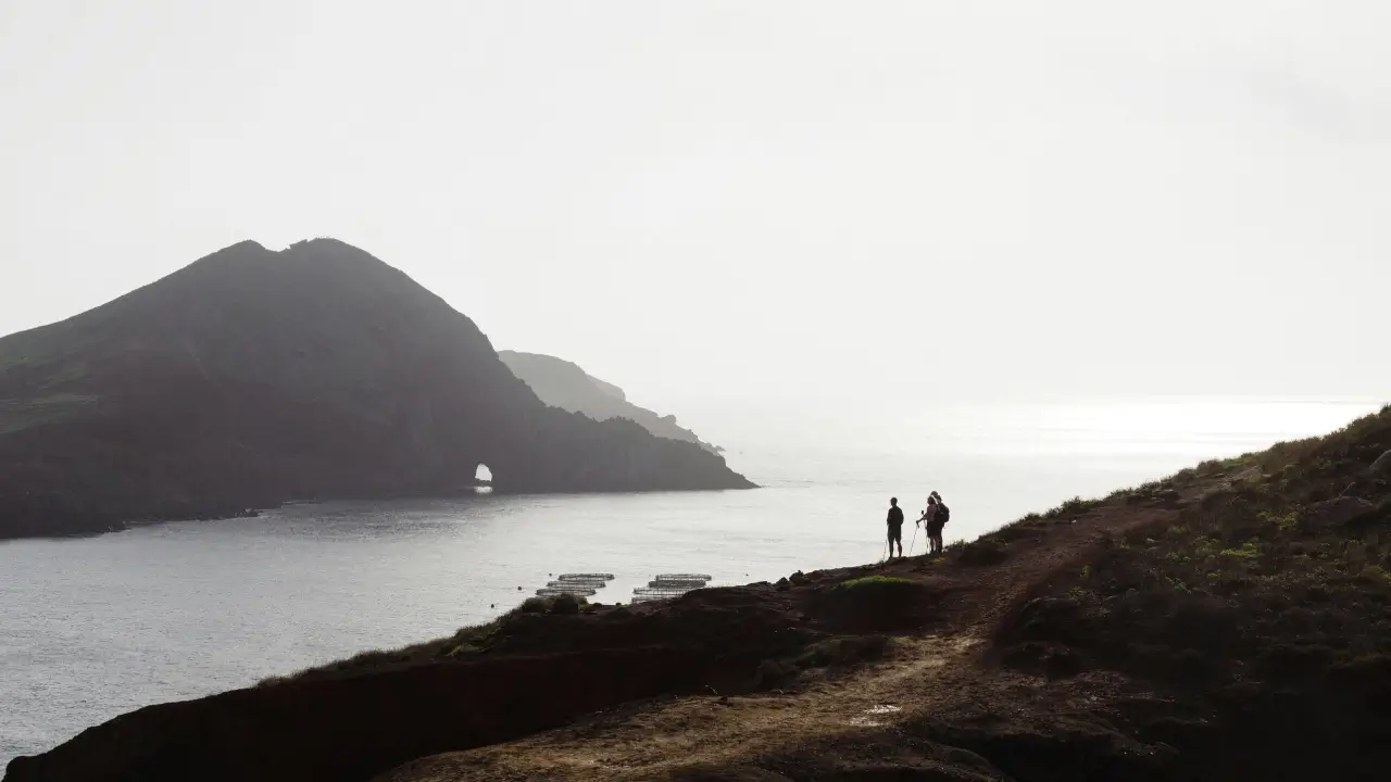 The 7 Best Walks in Madeira to Do in 2026: Your Essential Hiking Guide
