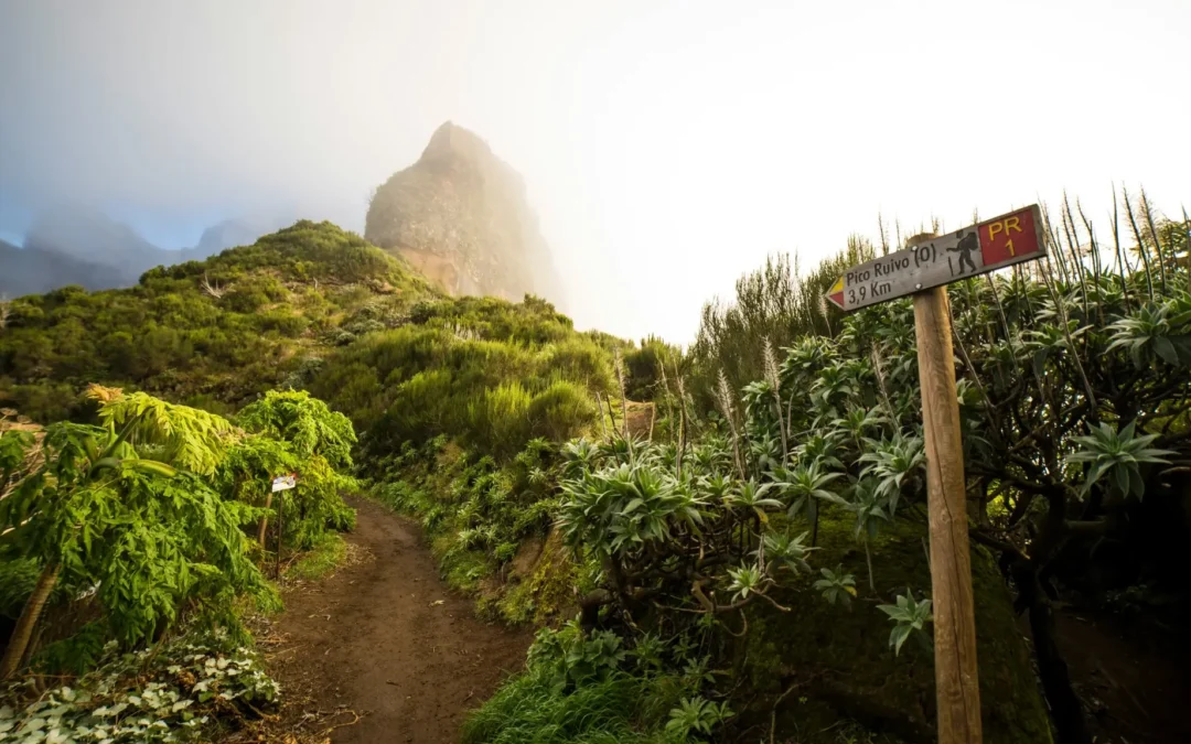 What to Do in Madeira Island: The Ultimate Local’s Guide