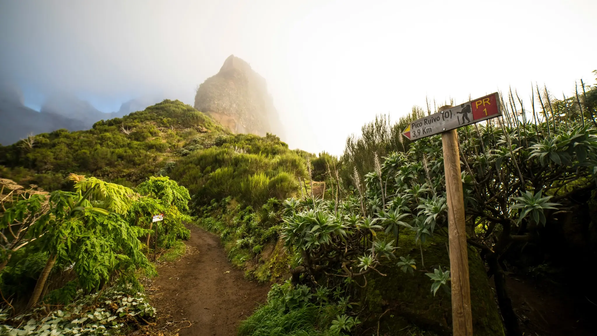 What to Do in Madeira Island: The Ultimate Local's Guide