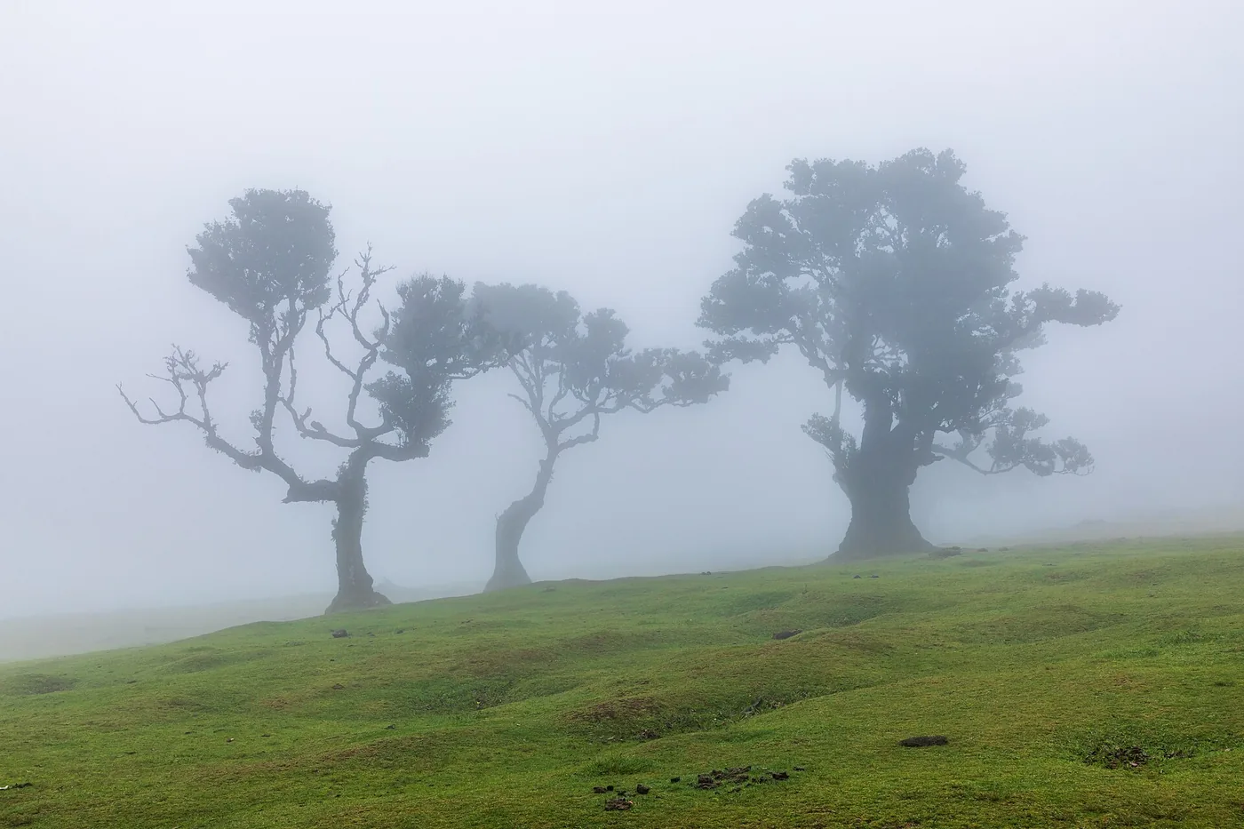 Rain in Madeira: How to Change Your Plans Without Losing the Day