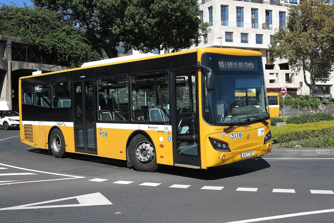 Madeira Without a Car: What You Can Do from Funchal and What Takes Planning