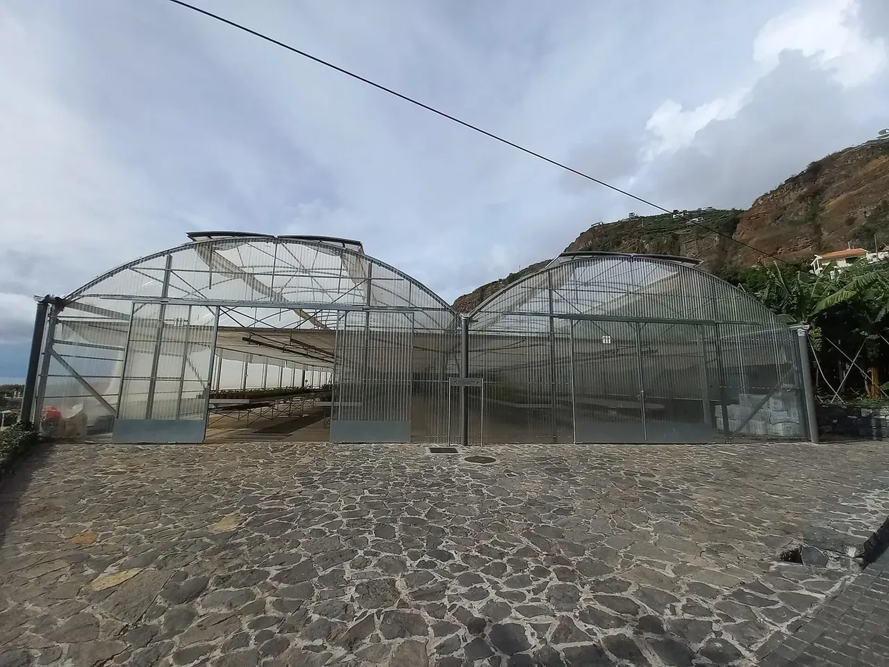 Madeira’s Banana Museum: What You See at BAM in Lugar de Baixo