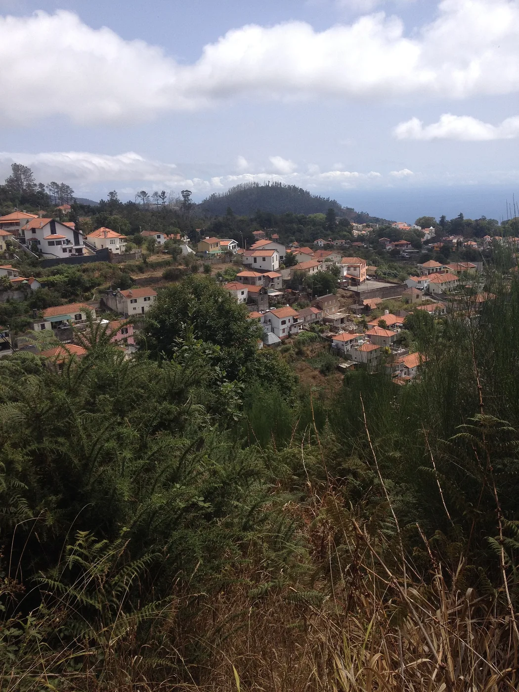 Camacha’s Wickerwork: What to Look For Before You Visit
