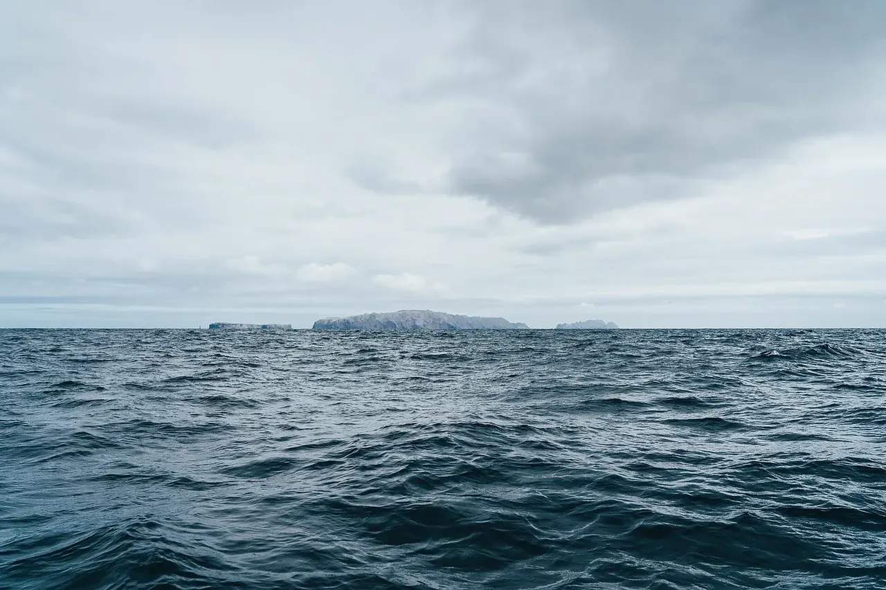 A Desertas Boat Trip: What You Book and When Landing Is Possible