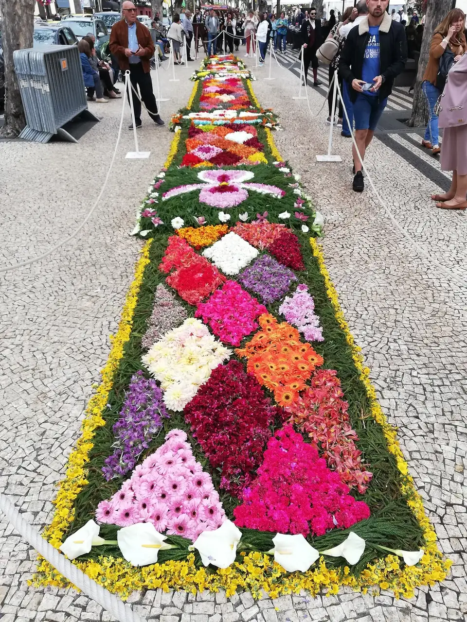 Madeira Flower Festival 2027: Choosing Dates Around the Events You Want to See