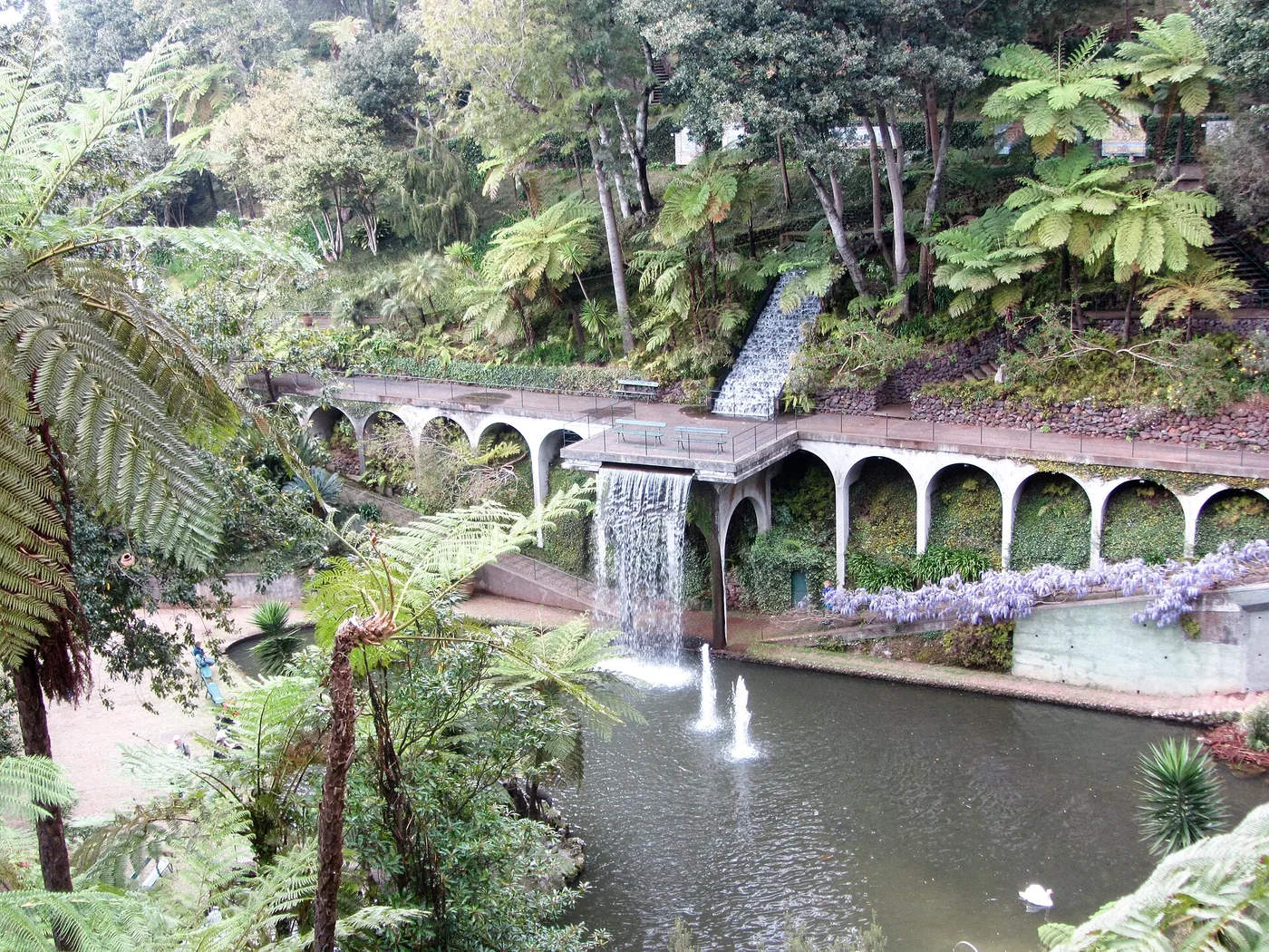 Monte Palace or the Botanical Garden? Choosing Your Funchal Garden Day