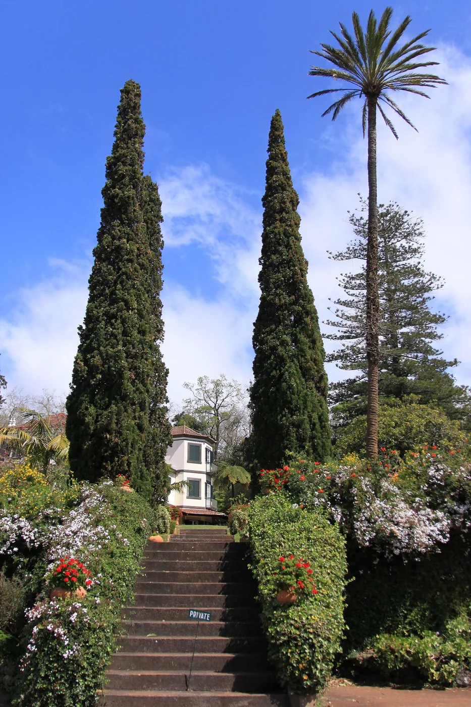 Afternoon Tea in Madeira: Choose Between a Hotel Terrace and a Garden Tea House