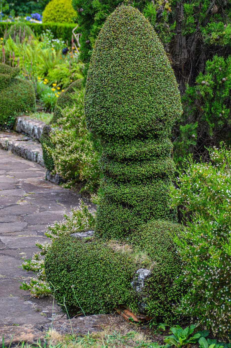 Topiary planting at Palheiro Gardens in Madeira.