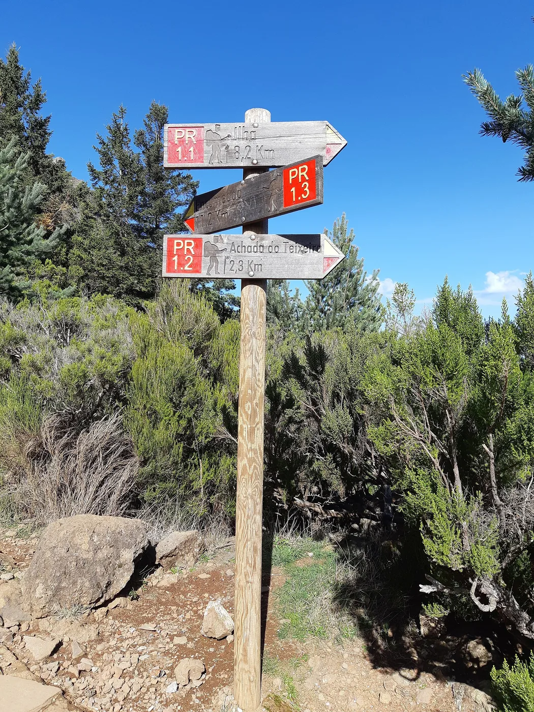 Madeira Hiking Reservations: Booking a Trail and Planning the Return