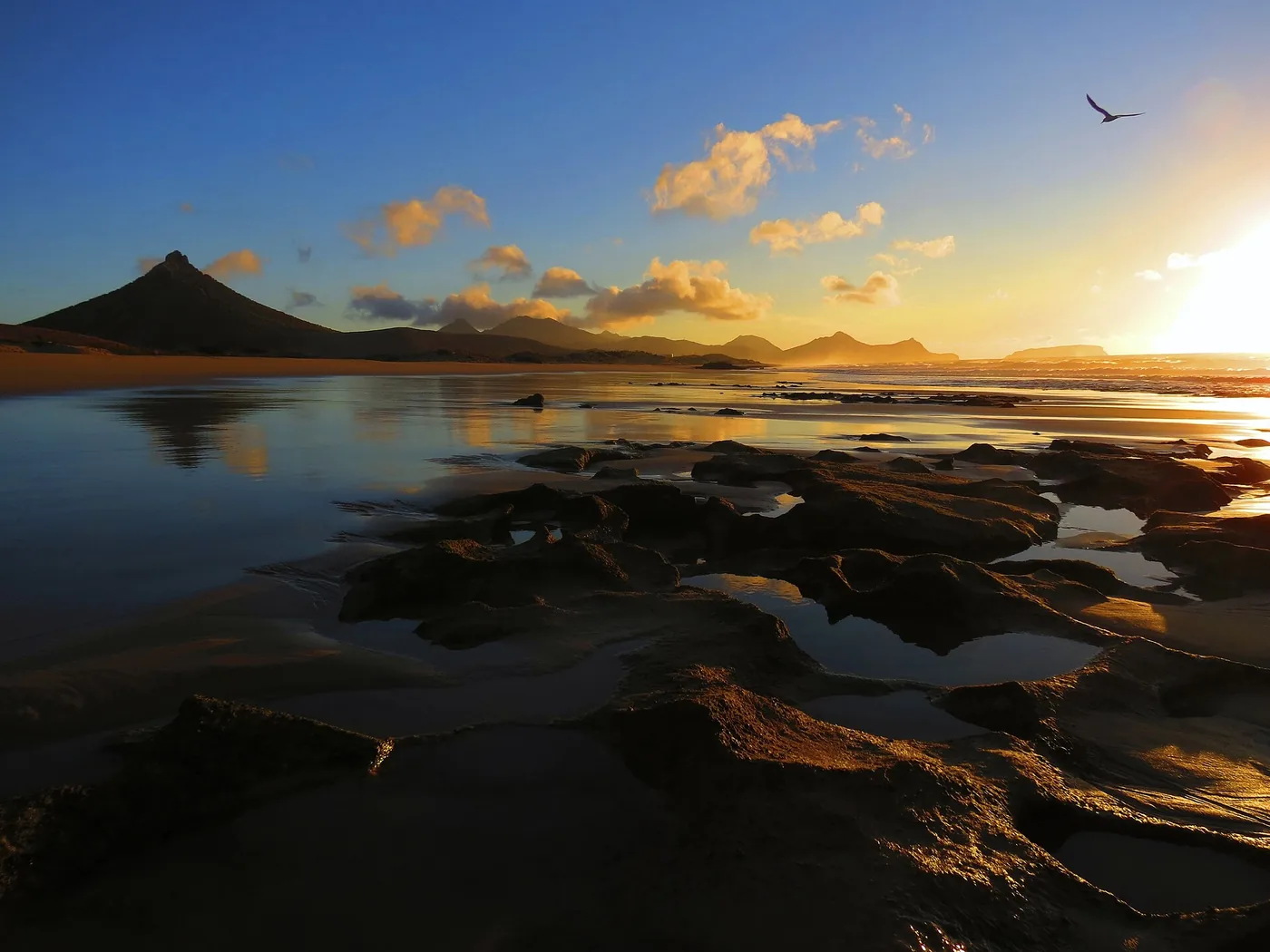 Porto Santo in a Day: Is the Time on the Island Worth the Journey?