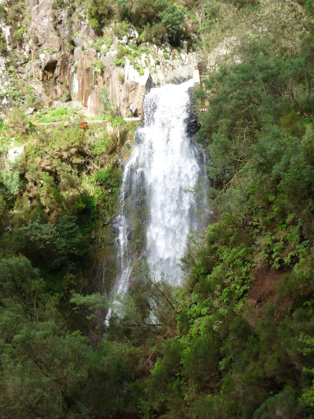 Canyoning in Madeira for Beginners: What Level 1 Actually Asks of You