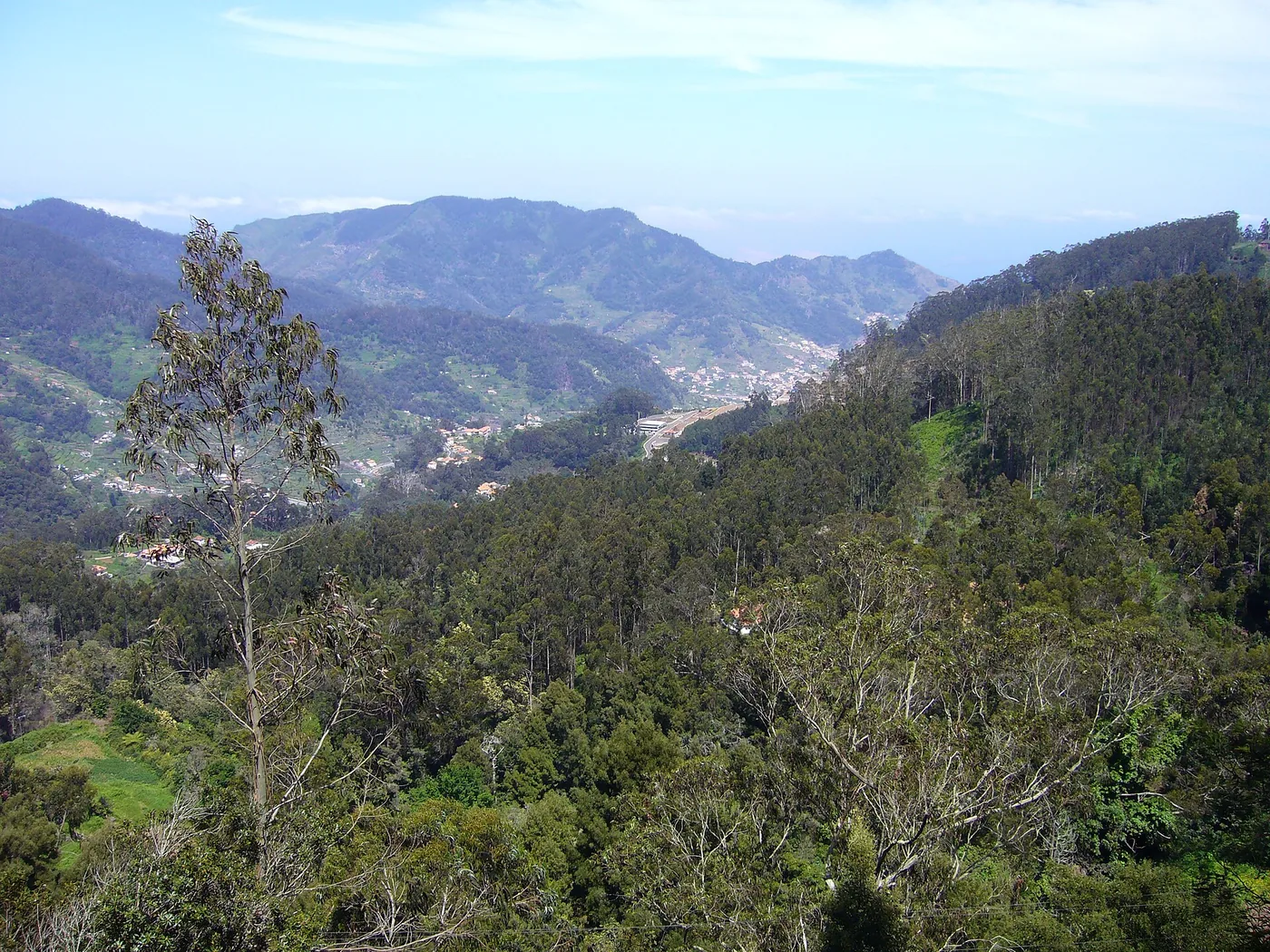 Historic view of the Machico valley from Santo da Serra, photographed in 2007.